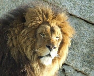 Zoo de Vigo
