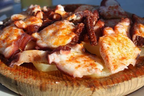 pulpo