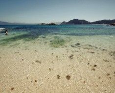 islas-cies