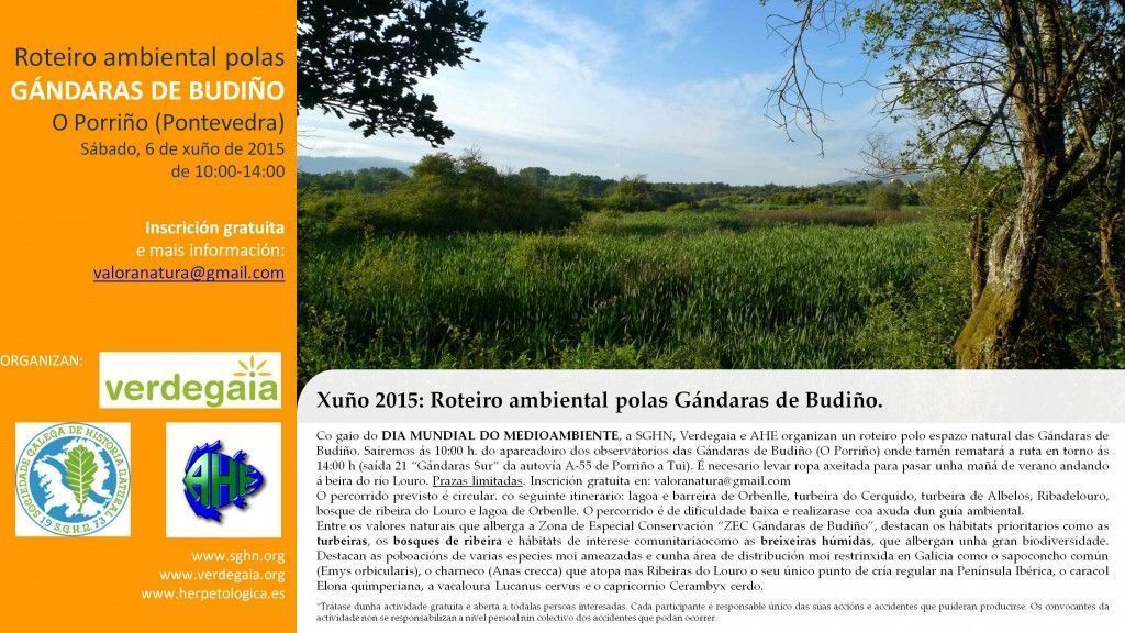 Cartel Roteiro